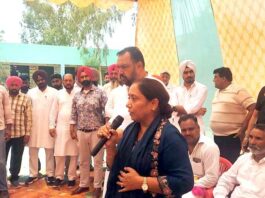 Punjab Education Scheme