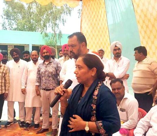 Punjab Education Scheme