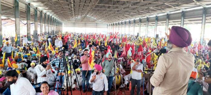 Punjab Farmers Protest