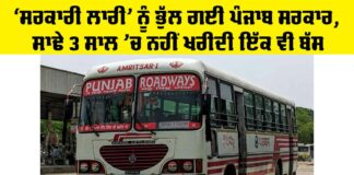 Punjab Government News