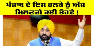 Punjab Government News
