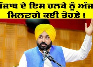 Punjab Government News
