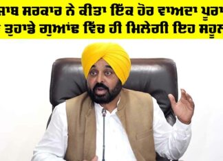 Punjab Government News
