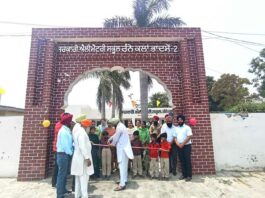 Punjab Government School