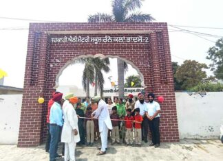 Punjab Government School