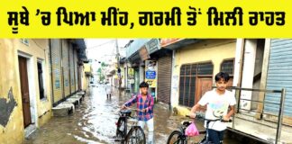 Punjab In Rain