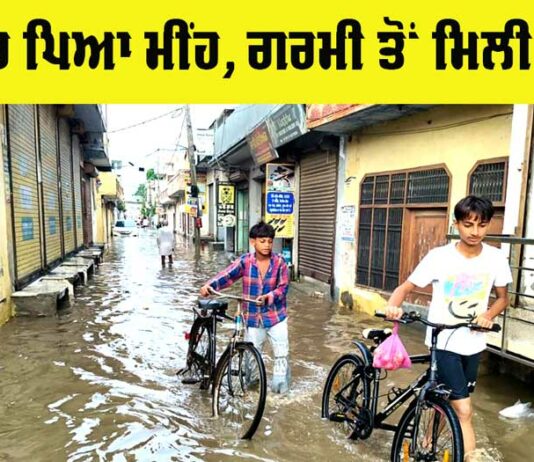 Punjab In Rain