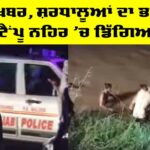 Punjab Road Accident