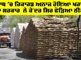 Punjab News