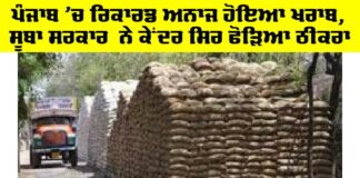 Punjab News