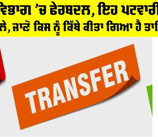 Punjab Patwari Transfers