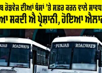 Punjab Roadways News
