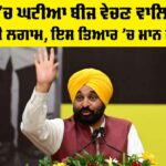 Punjab Substandard Seeds