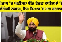Punjab Substandard Seeds