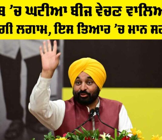 Punjab Substandard Seeds