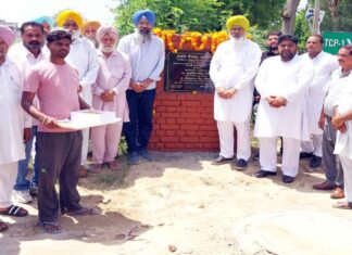 Punjab government Road Schemes