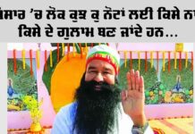 Saint Dr. MSG
