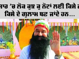 Saint Dr. MSG