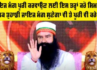Saint MSG