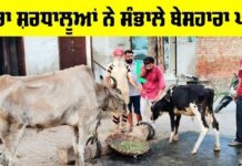 Sunam News