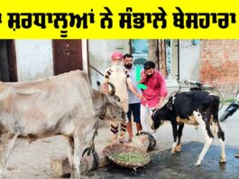 Sunam News