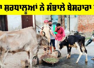 Sunam News