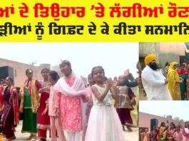 Teej Festival
