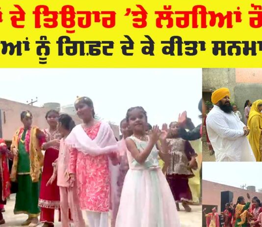 Teej Festival