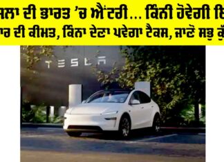Tesla India Launch
