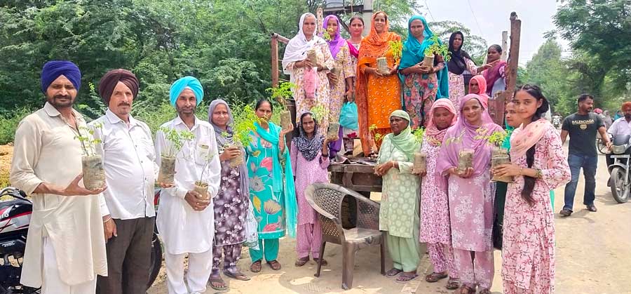 Tributes To Martyrs