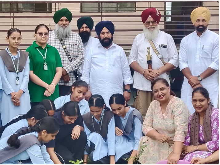 Tree Plantation