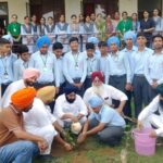 Tree Plantation