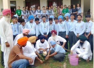 Tree Plantation