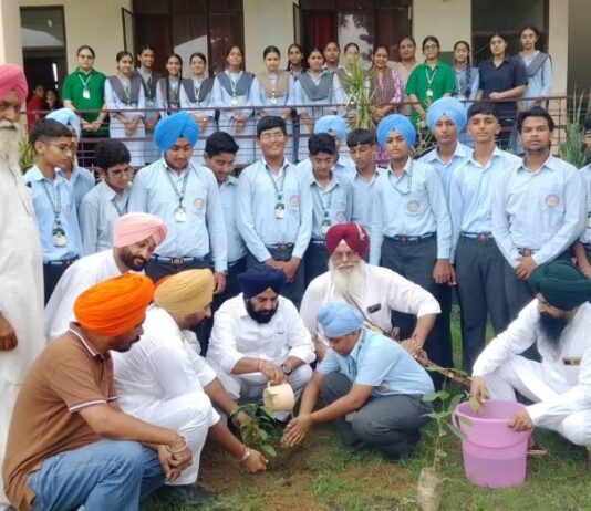Tree Plantation