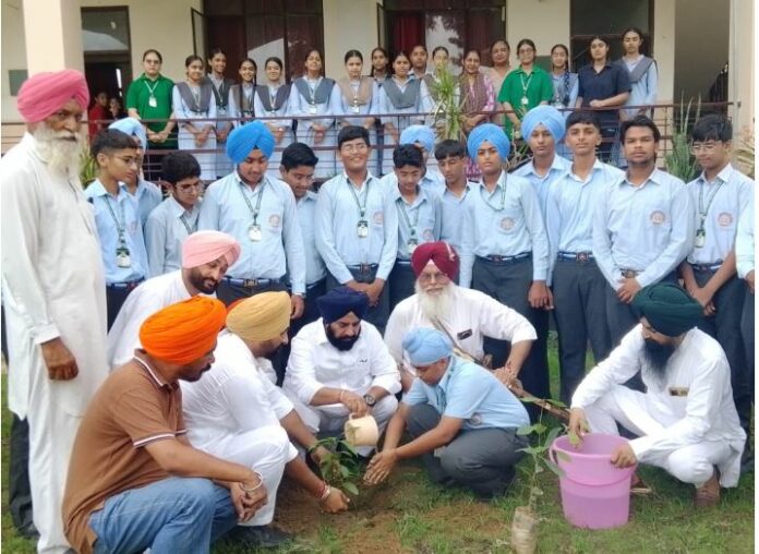 Tree Plantation