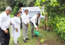 Tree Plantation Campaign