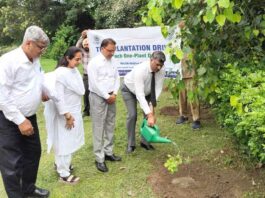 Tree Plantation Campaign