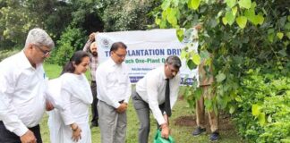Tree Plantation Campaign