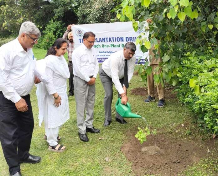 Tree-Plantation-Campaign Tree Plantation Campaign