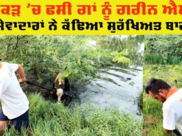 Welfare Work