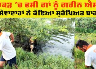 Welfare Work