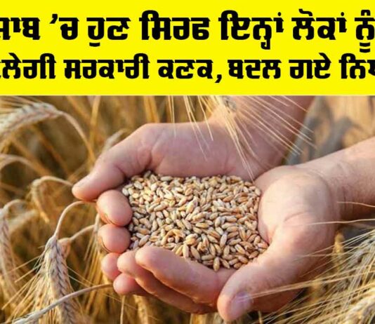 Wheat Distribution