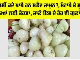 White Jamun Benefits