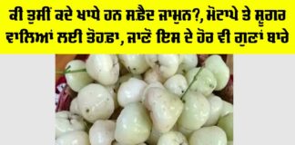 White Jamun Benefits