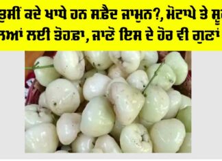 White Jamun Benefits