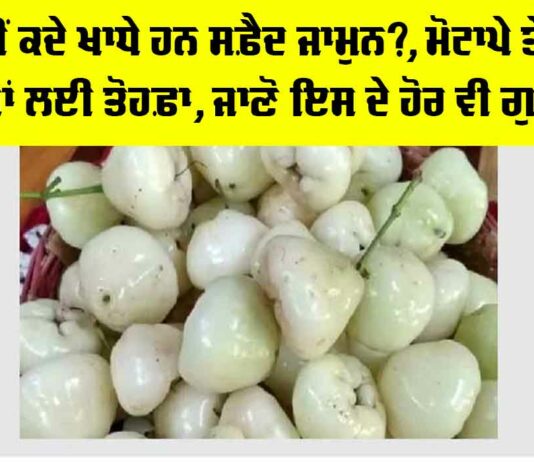 White Jamun Benefits