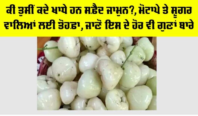 White Jamun Benefits White Jamun Benefits