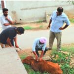 Animal Welfare News