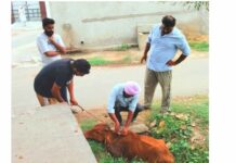 Animal Welfare News