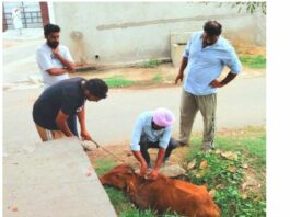 Animal Welfare News